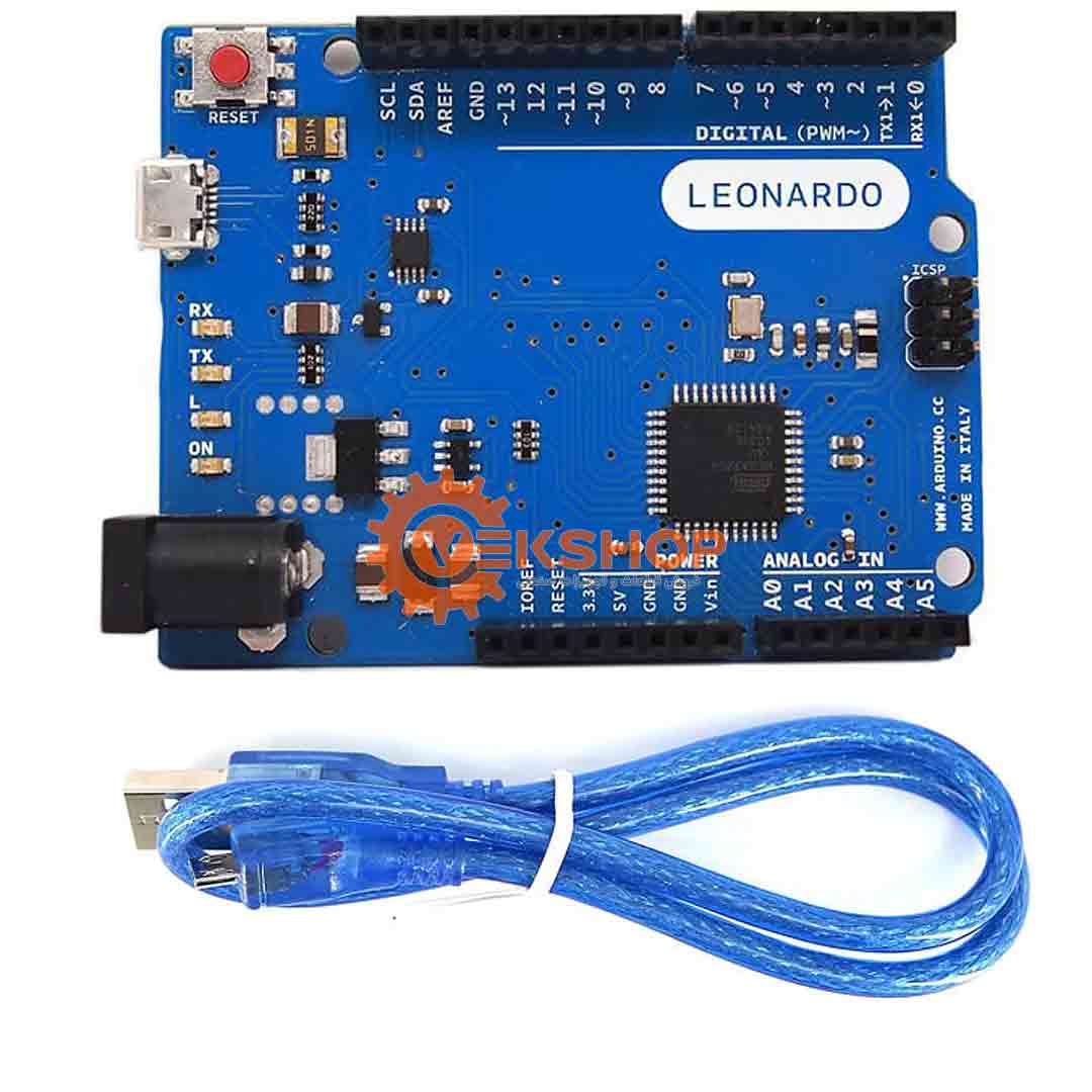 Arduino Leonardo + USB cable آردوینو لئوناردو Leonardo + کابل USBH