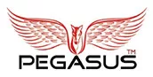 پگاسوس/ Pegasus