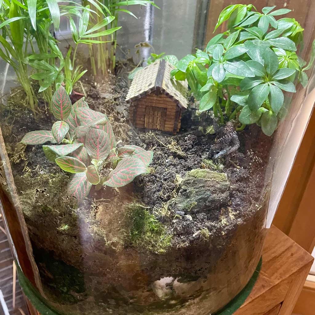 کلبه جنگلی چوبی